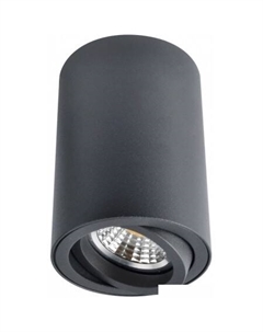 Точечный светильник Sentry A1560PL-1BK Arte lamp