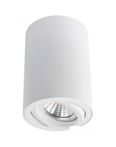 Точечный светильник Sentry A1560PL-1WH