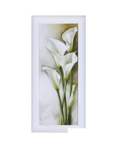 Картина 8Л0982 Декарт