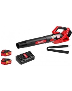 Ручная воздуходувка BB 2536 D ALL1 1333405 (с 2-мя АКБ) Wortex