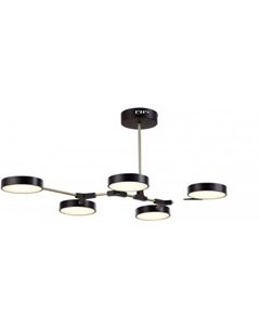 Люстра средней высоты Monta SLE6004-402-06 Evoluce