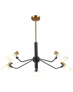 Подвесная люстра Lita SLE205403-05 Evoluce