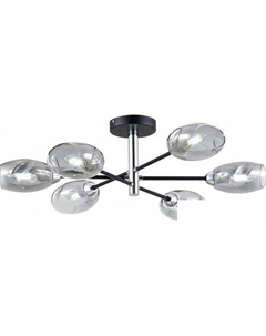 Люстра средней высоты Gloa SLE155512-06 Evoluce