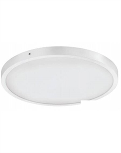 Припотолочная люстра Fueva 1 97266 Eglo