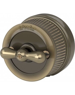 Выключатель W5720012 a050767 Werkel