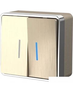 Выключатель W5020110 Werkel