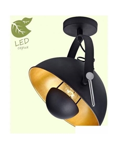 Припотолочная люстра Loft Sherrelwood GRLSP-9825 Lussole