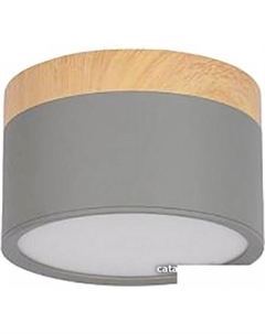 Точечный светильник Grape 10162 (серый) Loft it