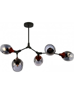 Люстра средней высоты Ciotolla SLE113402-05 Evoluce