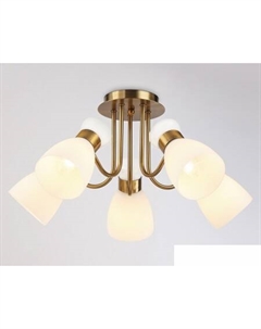 Люстра средней высоты Traditional TR3218 Ambrella