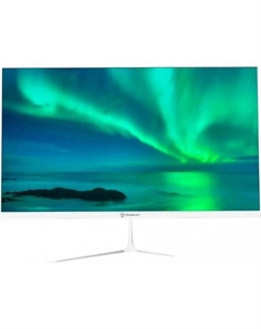 Монитор I24F10DAW Raskat