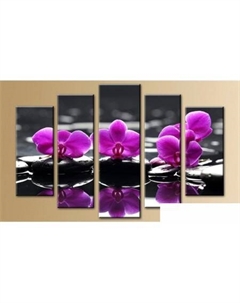 Модульная картина 5m-747 160x90 Arthata