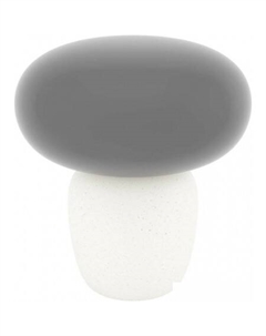 Настольная лампа Cahuama 99825 Eglo