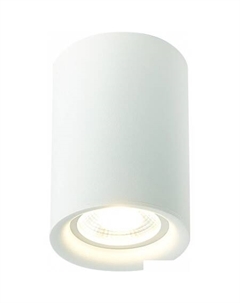 Точечный светильник ST114 ST114.507.01 St luce