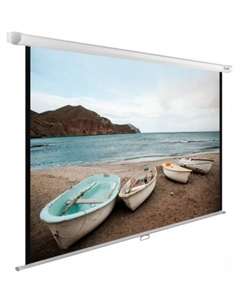Проекционный экран WallExpert 240x150 CS-PSWE-240x150-WT Cactus