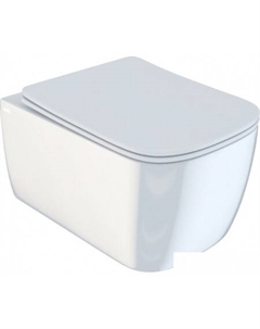 Унитаз Bridge BRIRDSEi25 Iddis