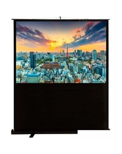 Проекционный экран FloorCompactExpert 90x120 CS-PSFLCE-120X90 Cactus