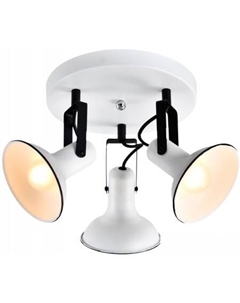 Спот Fargo LSP-8803 Lussole