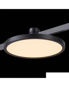 Трековый светильник Farm ST818.406.12 St luce
