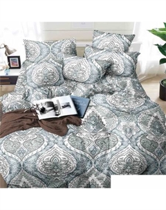 Постельное белье Эко Сатин евро СС-473 Alleri