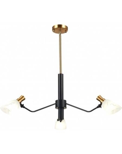 Подвесная люстра Lita SLE205403-03 Evoluce