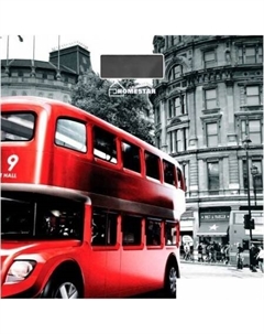 Напольные весы HS-6001F Homestar