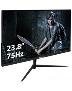 Монитор ProSmart EV2407 EX294427RUS Exegate