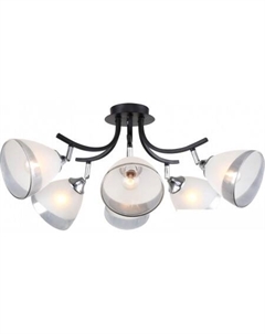 Люстра средней высоты Greensboro LSP-8820 Lussole