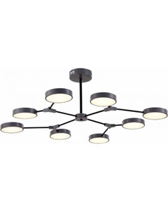 Люстра средней высоты Monta SLE6003-702-08 Evoluce