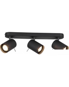 Спот Fanale SL597.401.03 St luce