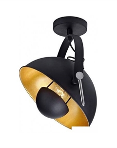 Припотолочная люстра Loft LSP-9825 Lussole