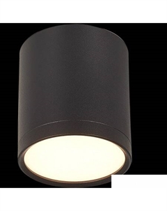 Точечный светильник Rene St luce