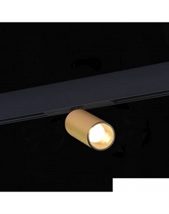 Трековый светильник ST807.436.12 St luce