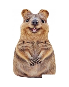 Декоративная подушка Квокка 19.25.1 Мальвина