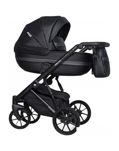 Универсальная коляска Basic Delta Ecco (2 в 1, 15/black) Riko