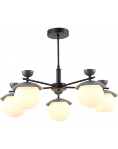 Люстра средней высоты Genova SLE220202-05 Evoluce