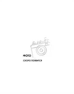 Отпариватель R1003-417 Ragex - слайд 2