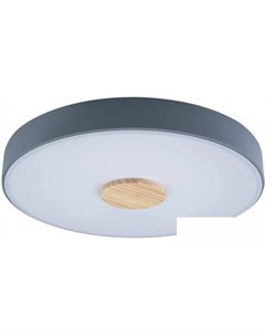 Люстра-тарелка Axel 10003/24 Grey Loft it