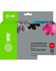 Картридж CS-PGI2400BK-C-M-Y (аналог Canon PGI2400BK-C-M-Y) Cactus