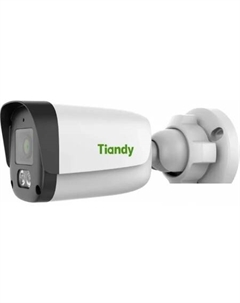 IP-камера TC-C321N I3/E/Y/4mm Tiandy