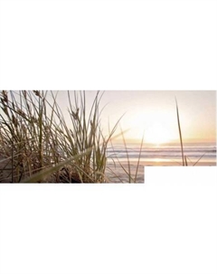 Картина Летний закат SN009 (65x150) Stamprint