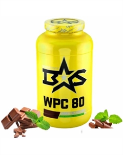 Протеин WPC 80 (1300г, шоколад/мята) Binasport