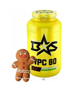 Протеин WPC 80 (750г, имбирный пряник) Binasport