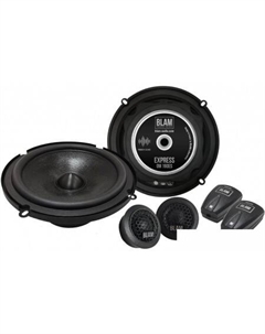 Компонентная АС OM160 ES20 Blam