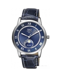 Наручные часы QZ10J318 Q&q