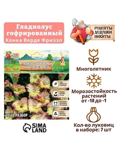 Гладиолус гофрированный "Конка Верде Фриззл", р-р 8/10, 7 шт Сады дедушки никиты