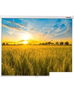 Проекционный экран Eco Picture 198x300 LEP-100120 Lumien