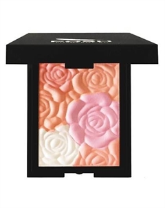 POSH Минеральные Румяна, Хайлайтер, Контуринг, 01 Poshprof.ru