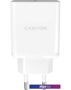 Сетевое зарядное CNE-CHA20W Canyon