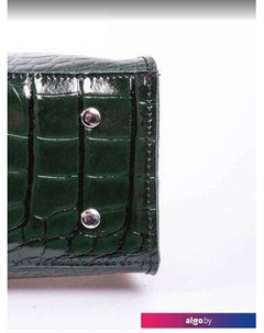 Сумка 861019 (зеленый) Cagia